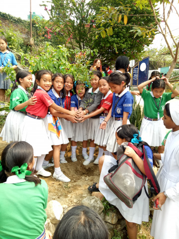 World Environment Day Celebration Photos